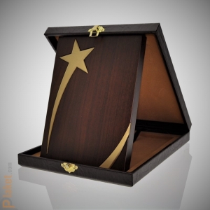 Deri Kutulu Plaket - DKP-002-18x24 cm - özel