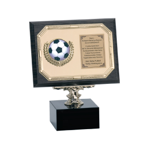 Ahşap Plaket AP-044-B