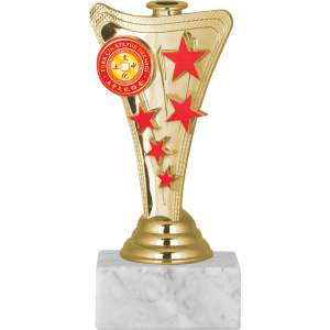 Genel Kupa GN-041-B