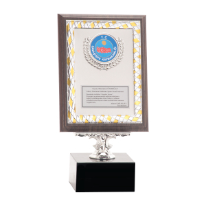 Ahşap Plaket AP-018-B